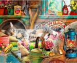 Картина по номерам "Дачный кот" (40x50см)                                                          
