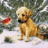 Картина по номерам "Щенок в зимнем лесу" (40x50см)                                                            