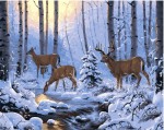 Картина по номерам "Олени в зимнем лесу" (40x50см)                                                             