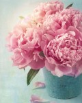 Картина по номерам "Розовые пионы" (40x50см) 