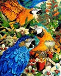Картина по номерам "Попугаи и орхидеи" (40x50см)                            