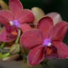 DSC_8822.JPG