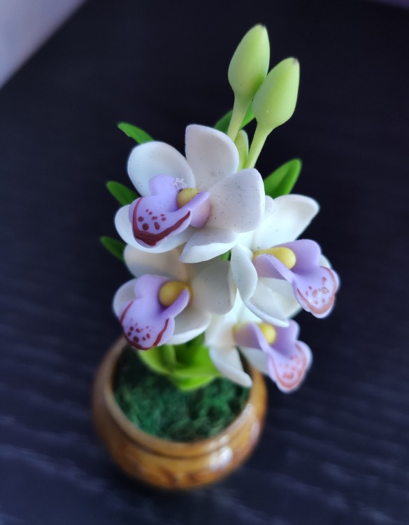 Сувенир "Орхидея цимбидиум" 