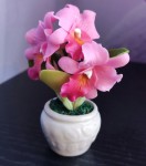 Сувенир "Орхидея каттлея"  