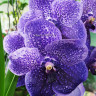 20150923_190124.jpg
