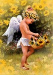 Картина по номерам "Ангелок в подсолнухах" (40x50см)                                  