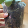 Орхидея Phal.Brother Sara Gold x Chiada Spark, peloric (отцвёл, РЕАНИМАШКА*) 