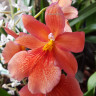 20160213_130508.jpg
