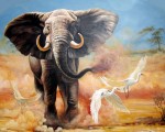 Картина по номерам "Африканский слон" (40x50см)                                                    