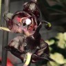 Орхидея Phalaenopsis Black  