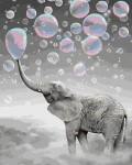 Картина по номерам "Слон и мыльные пузыри" (40x50см)  
