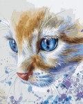 Картина по номерам "Голубые кошачьи глаза" (40x50см)  