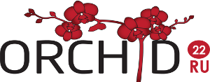 Барнаул Интернет Магазин Орхидея 22